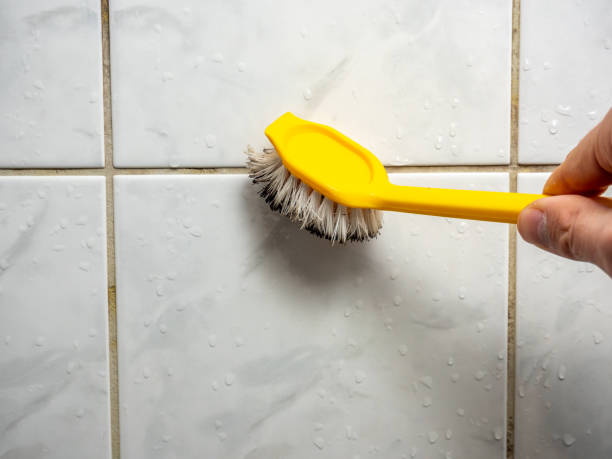Best Mold Removal Company Near Me  in Grass Valley, CA