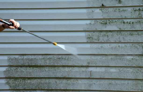 Best Office Mold Removal Services  in Grass Valley, CA