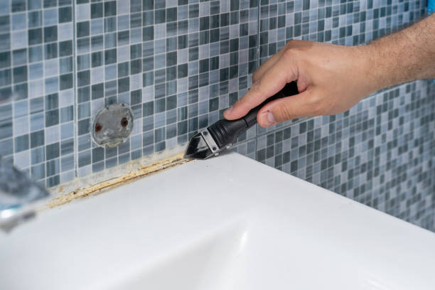 Best Mold Cleaning Services  in Grass Valley, CA